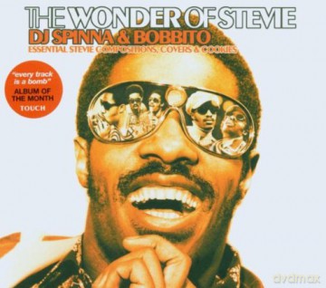 DJ Spinna and Bobbito - The Wonder Of Stevie [CD]