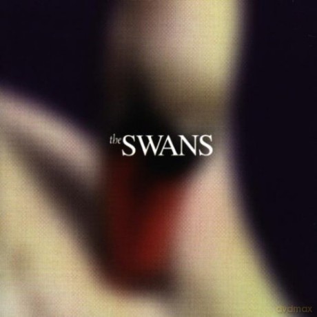 The Swans - Photographs and Letters [CD]