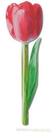 Zakładka do książki kwiaty - Malowany tulipan