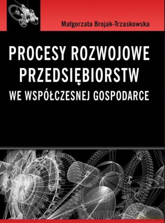 Procesy rozwojowe przedsiębiorstw we współczesnej gospodarce [KSIĄŻKA]