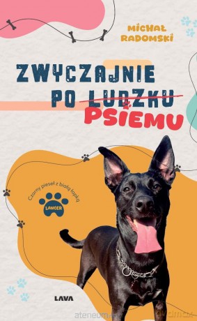 Zwyczajnie po ludzku, psiemu - Michał Radomski, Magdalena Kalupa-Siemieniako [KSIĄŻKA]
