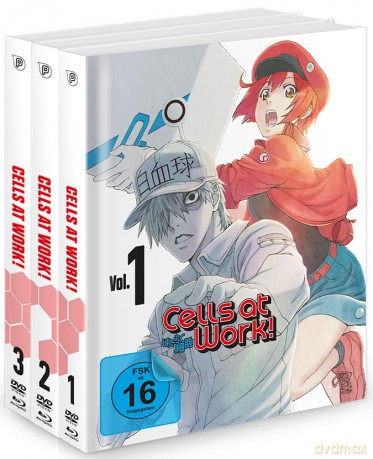 Cells at Work - Gesamtausgabe - Bundle - Vol. 1-3 [Blu-Ray]