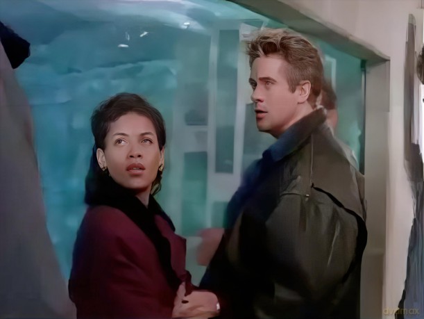 Cobra - Die komplette Serie mit Michael Dudikoff [DVD]