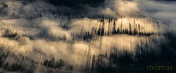 Das Flüstern der Wälder [Blu-Ray]
