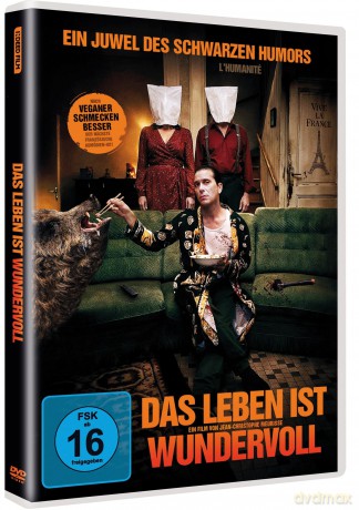 Das Leben ist wundervoll [DVD]