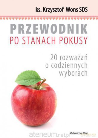 Przewodnik po stanach pokusy. 20 rozważań o codziennych wyborach [KSIĄŻKA]