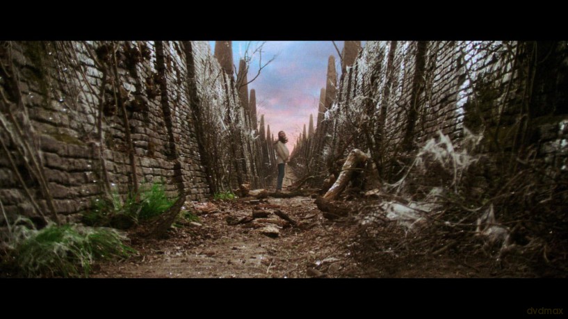 Die Reise ins Labyrinth - Steelbook [Blu-Ray 4K]+[Blu-Ray]
