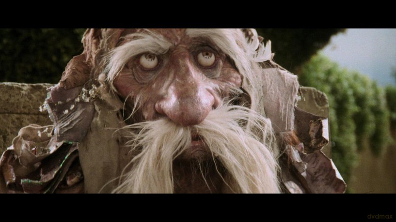 Die Reise ins Labyrinth - Steelbook [Blu-Ray 4K]+[Blu-Ray]