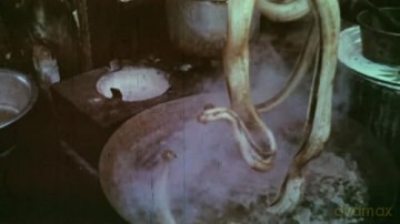 Die Tabus der Welt - MONDO [DVD]