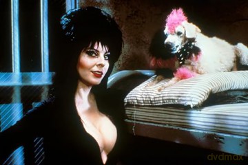 Elvira - Herrscherin der Dunkelheit (inkl. Elvira's Haunted Hills) [Blu-Ray]