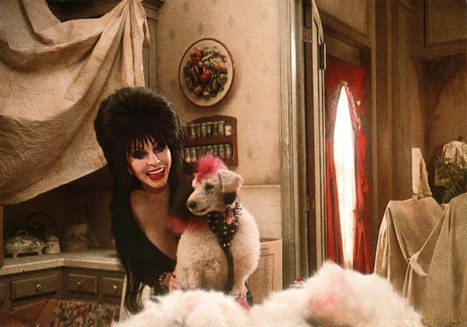 Elvira - Herrscherin der Dunkelheit (inkl. Elvira's Haunted Hills) [Blu-Ray]