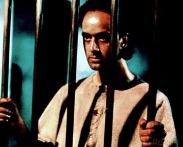 Im Schatten der Cobra - Shadow of the Cobra - Psychothriller nach wahren Begebenheiten über Serienmörder Charles Sobhraj [DVD]