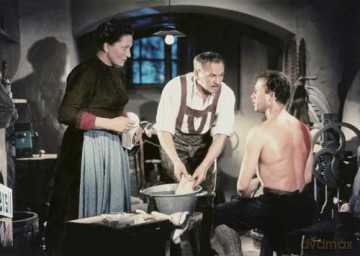 Ludwig Ganghofer Komplettbox (alle verfügbaren Verfilmungen) [DVD]
