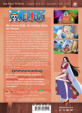 One Piece - TV Serie - Vol.38 - [DVD]