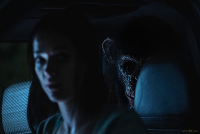 Primate [DVD]