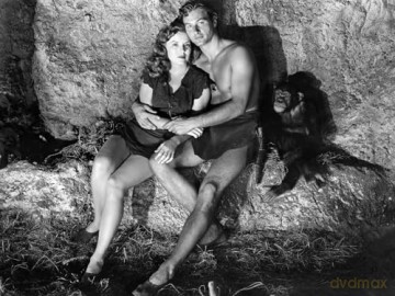 Tarzan - Lex Barker Collection - Remastered Edition - Alle 5 Tarzan-Abenteuer mit Lex Barker von 1949-1953 - Ein Highlight für alle Fans des Physischen Mediums [DVD]