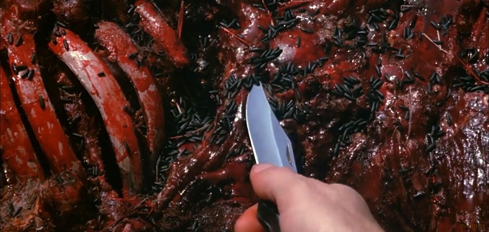 The Nest - Brutstätte des Grauens [Blu-Ray]
