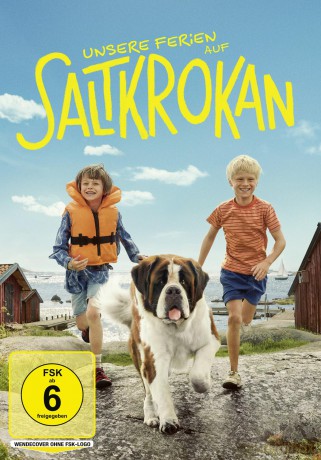 Unsere Ferien auf Saltkrokan [DVD]