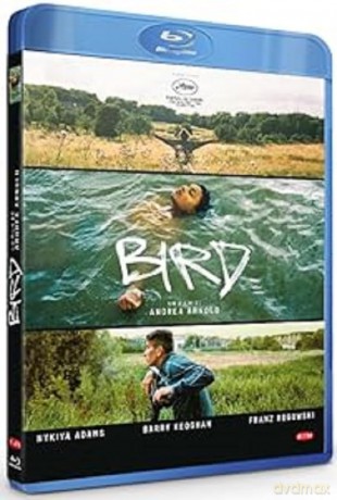 Bird [DVD]