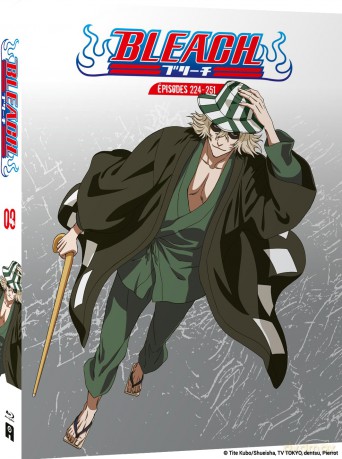 Bleach - Partie 9 [Blu-Ray]