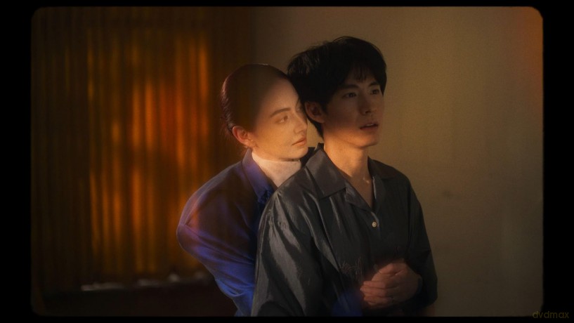 Fantôme utile [DVD]