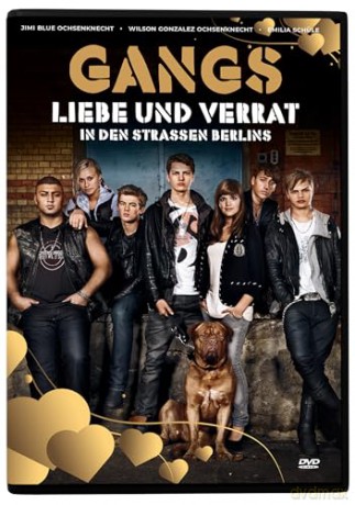 Gangs - Ein Berliner Abenteuer zwischen Brüderlichkeit und erster Liebe mit Jimi Blue Ochsenknecht - Der deutsche Teenager-Film voller Drama und Spannung [Blu-Ray]