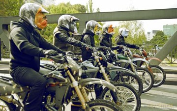 Gangs - Ein Berliner Abenteuer zwischen Brüderlichkeit und erster Liebe mit Jimi Blue Ochsenknecht - Der deutsche Teenager-Film voller Drama und Spannung [Blu-Ray]