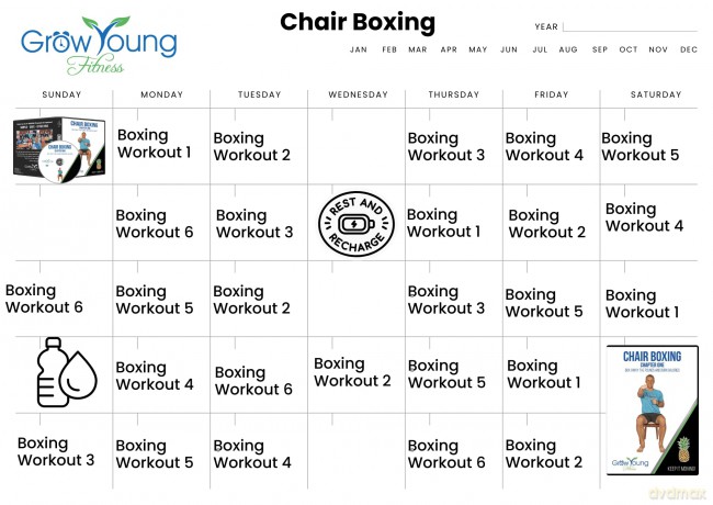 Grow Young Fitness Chapter One Chaise de boxe pour personnes âgées - Exercices de boxe assis a la maison - d'entraînement simple, sur et efficace pour les personnes âgées [DVD]