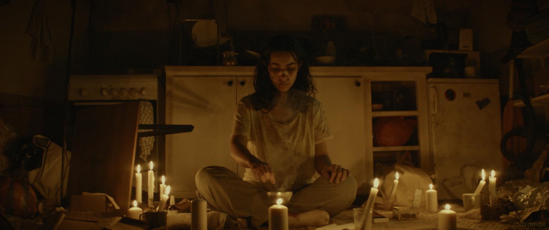 La Damnée [DVD]