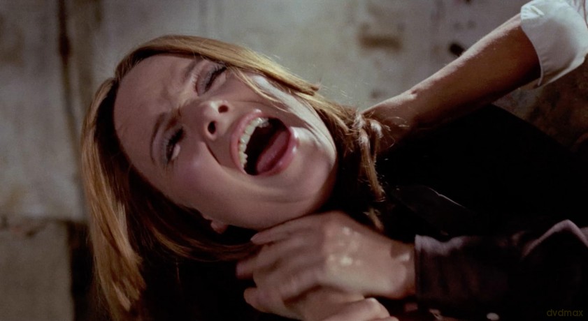 La Furie des vampires (Édition Collector + 2 + Livret) [Blu-Ray]