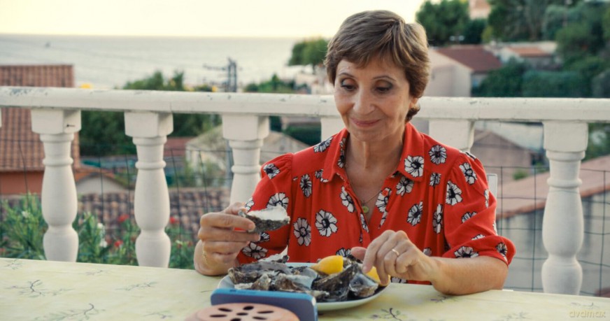 La Pie voleuse [Blu-Ray]