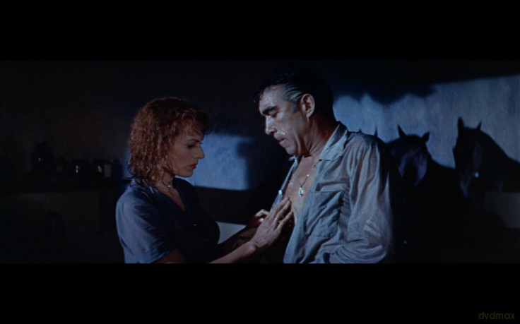 Le Brave et la Belle [Blu-Ray]
