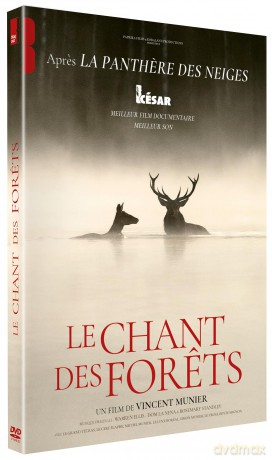 Le Chant des forets [DVD]