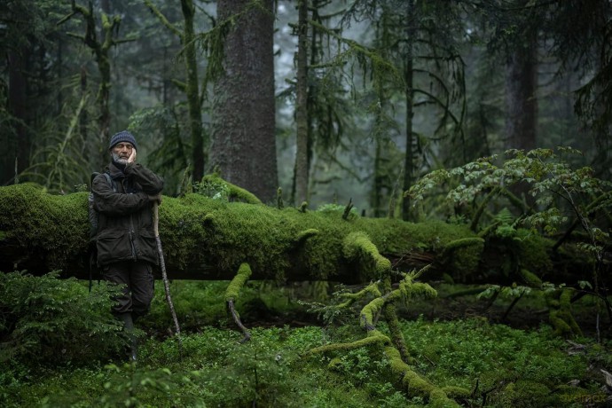 Le Chant des forets [DVD]