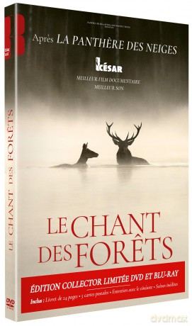 Le Chant des forets [Blu-Ray]