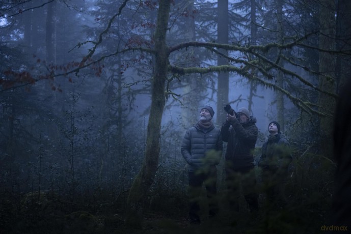 Le Chant des forets [Blu-Ray]