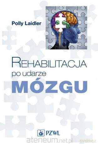 Rehabilitacja po udarze mózgu [KSIĄŻKA]