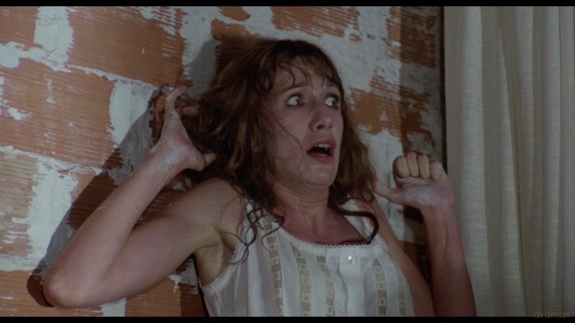Les Démons de la nuit [Blu-Ray]