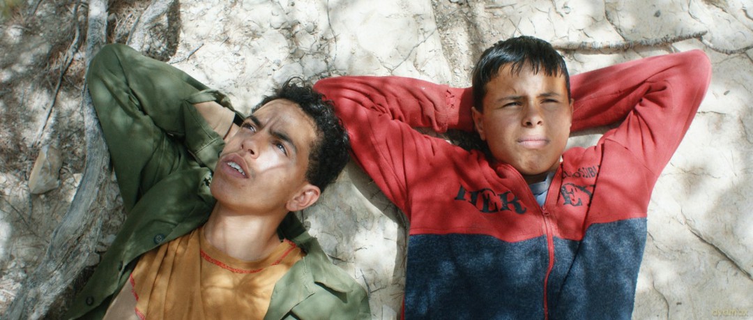 Les Enfants Rouges- Vost [DVD]