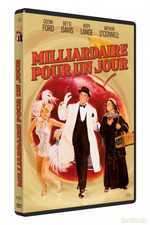 Milliardaire pour un jour [DVD]
