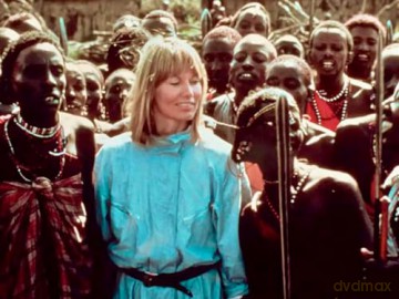 Nairobi Affair (1984) - Abenteuerklassiker mit Charlton Heston in der Wildnis Kenyas (Crest Movies) [DVD]