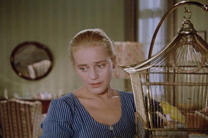 Rose Bernd - Literaturverfilmung von Wolfgang Staudte in der Kinofassung des preisgekrönten Bühnenklassikers [Blu-Ray]