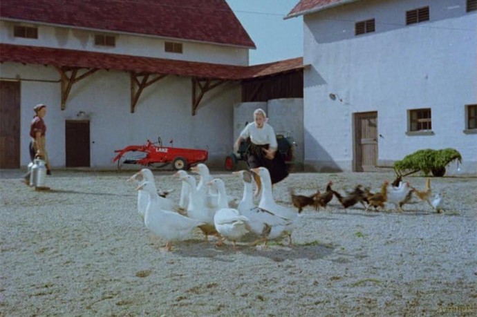 Rose Bernd - Literaturverfilmung von Wolfgang Staudte in der Kinofassung des preisgekrönten Bühnenklassikers [Blu-Ray]