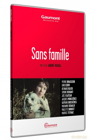 Sans famille [DVD]
