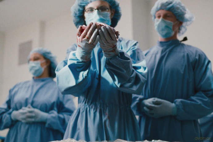 Tell Tale - Transplantation [Blu-Ray]