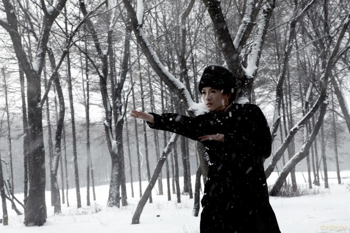 The Grandmaster [Blu-Ray]