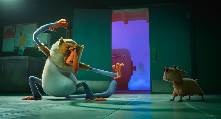 Une nuit au zoo [DVD]