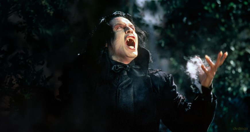 Vampires [DVD]