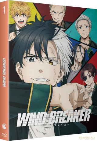 Wind Breaker-Saison 1 [Blu-Ray]