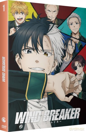 Wind Breaker-Saison 1 [DVD]